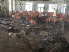 -哈尔滨北方森林动物园