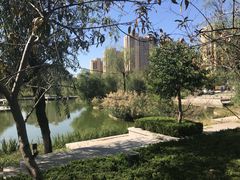 -颜真卿公园-文博苑景区