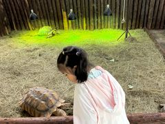 -海合安武汉极地海洋公园