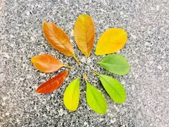 -章太炎故居