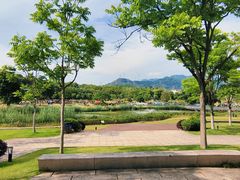 -牛岗山公园
