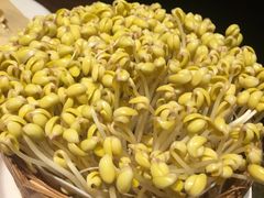 自生黄豆芽-周师兄大刀腰片火锅(洪崖洞旗舰店)