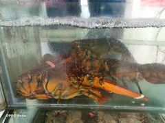 -四海鲜渔家菜(黄金海岸店)