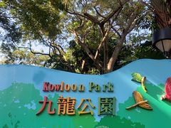 -九龙公园