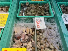 -南纪白浜Toretore市场