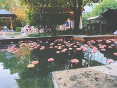 -深业半汤御泉庄温泉