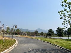 -三垟湿地