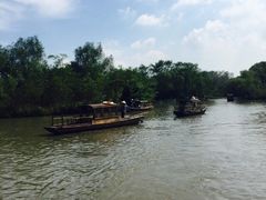 -溱湖国家湿地公园