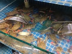 水产区-蟹谢蒸鲜自助餐厅
