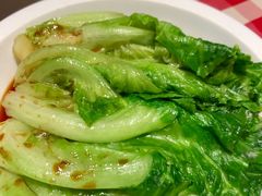 生菜-西贝(宝乐汇店)
