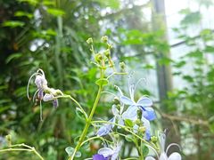 -华南国家植物园-售票处