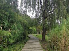 -贵阳市花溪国家城市湿地公园