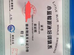 -小蓝鲸游泳培训基地(积水潭店)