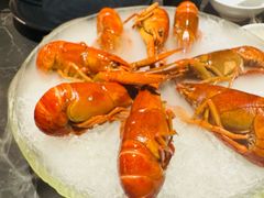 精品冰镇蓝龙虾-红盔甲·小龙虾(人民广场店)