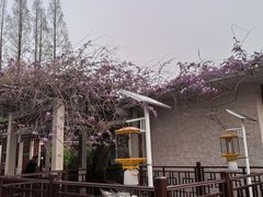 -郑和公园