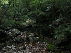 -牛背梁国家森林公园