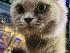 -美美酱宠物(外运路小区店)