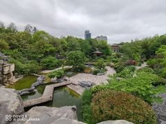 -上海吴淞炮台湾国家湿地公园