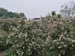 -太阳宫公园