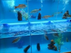 -怡咖啡·自助餐·西安香格里拉
