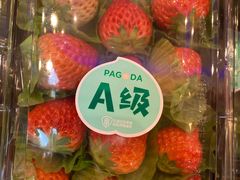 -百果园PAGODA(和泓四季店)