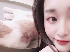 -飞行喵MR PILOT|猫舍·猫咖(静安大融城店)