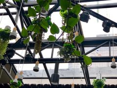 -酸喜·三度酸·贵州味