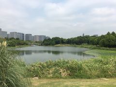 -尚贤河湿地
