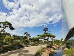 -罗红摄影艺术馆