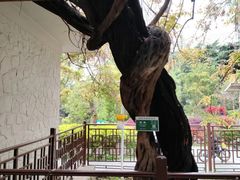 -郑和公园