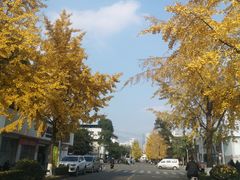 -四川大学(望江校区)