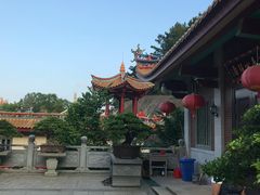 -仙岳公园