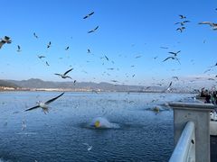 -海埂大坝