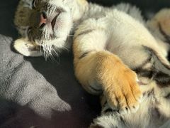 -大连森林动物园