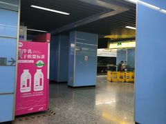 -大龙山(地铁站)