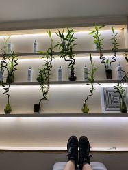 -菲·木田moontin造型salon