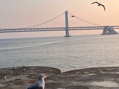 -星海广场