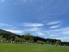 -武陵山森林公园