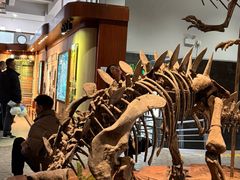 -自贡恐龙博物馆