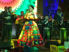 -波哥大埃尔多拉国际机场