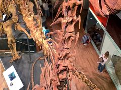 -墨尔本博物馆(Melbourne Museum)