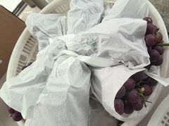 -马陆小张葡萄园农家乐