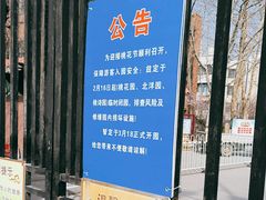 -桃花堤公园