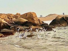 -老虎石海上公园