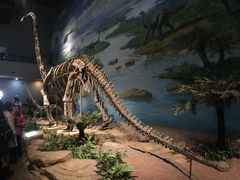 -自贡恐龙博物馆