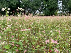 -中国天府农业博览园