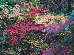 -丹东天桥沟景区