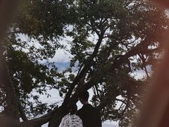 -丽江泸沽湖景区