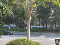 -苏浙汇(肇嘉浜路总店)