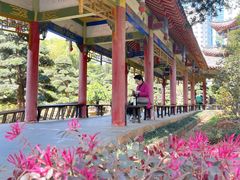 -华雅花园大酒店